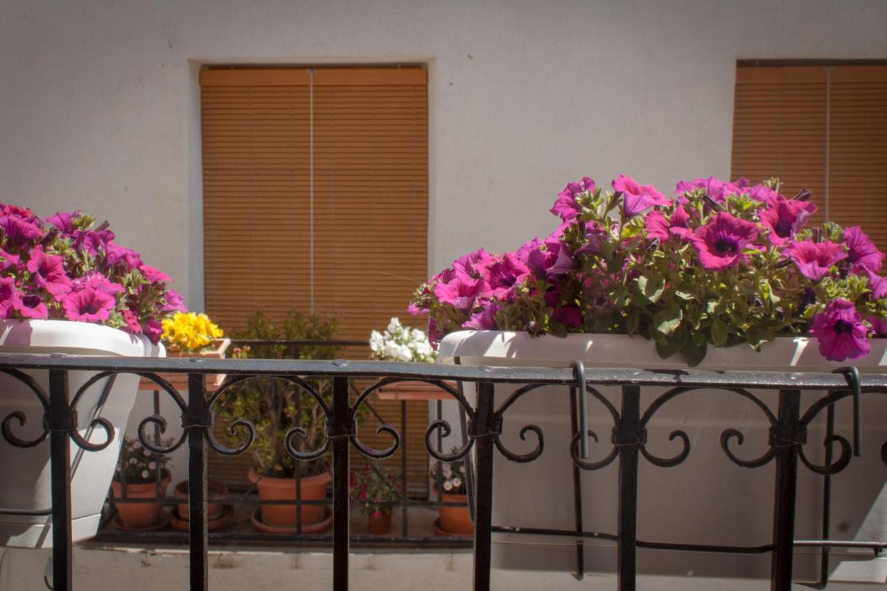 Casa Amparo - Alquiler Integro Con Encanto En Alicante Alcoleja エクステリア 写真